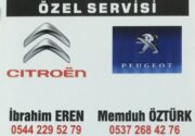 Citroen Peugeot Özel Servisi